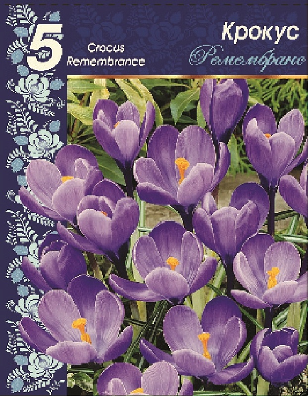 Крокус Ремембранс 1 уп. (3 шт.)